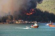 В районе турецкого Бодрума возник новый лесной пожар