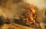 Эрдоган объявил пострадавшие от лесных пожаров регионы зоной бедствия: Происшествия: Мир: Lenta.ru