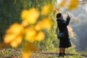 Москвичам пообещали теплый и солнечный конец октября