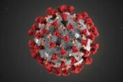 Разведка США не пришла к единому мнению о происхождении коронавируса