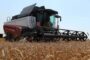 Россия довела объем мирового экспорта пшеницы до рекордных величин