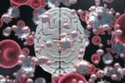 Ученые доказали, что COVID-19 не поражает клетки мозга