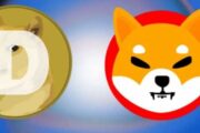 Dogecoin и Shiba Inu появились в листинге ведущей криптобиржи Индии