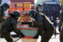 Чилийских полицейских покусали пчелы во время протестов пасечников