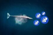 Главными держателями токена ApeCoin оказались Ethereum-киты
