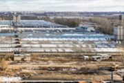 «Сибагро» увеличило сельхозугодия для новосибирского свинокомплекса на 15 гектаров