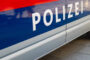 Полуголый украинец избил двух полицейских в Вене