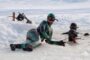 В Госдуме предложили поддержать туризм в Арктике удвоенным кэшбэком — Капитал
