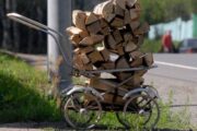 В Молдавии запретили перевозить дрова ночью из-за энергокризиса