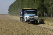 Мрачные прогнозы по поводу урожая российского зерна спровоцировали неудобные вопросы