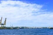 Еще два судна с зерном покинули порты Украины