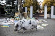 Литву ждет большая депрессия: население почувствовало себя обедневшим