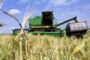 Названы риски введения квот на поставки в Россию импортных семян