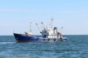 В Азовском море изменился состав промысловых видов рыб