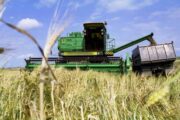 Россия выбирает тернистый, но уверенный путь к аграрной независимости