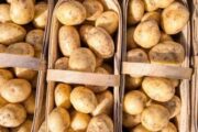 Раскрыта мрачная тайна молодой картошки по 100 рублей за килограмм
