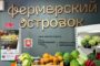 В России предложили создать резервный фонд пенсионной системы