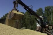 Эксперт назвал плюсы зернового кризиса: хороший момент, чтобы перезаключить сделку