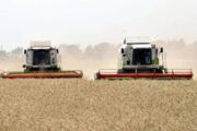 Названы риски реализации рекордного урожая: аграрии задали неудобные вопросы властям