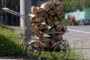 Цены на дрова вынудили эстонцев красть чужие поленницы