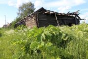 Сельхозперепись показала, что российские деревни умирают