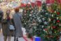 Цены на новогодние елки в России взлетели до 22 000 рублей