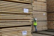 Российские лесные компании предупредили о разорении без вывоза через Казахстан