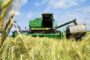 Российское зерно пробилось на мировой рынок: почему не помешали санкции