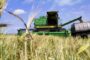Глава Зернового союза предсказал провал России на мировом рынке зерна