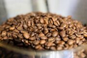 В Коми построят завод по производству кофе — Капитал