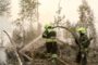 Лесные пожары стали нарастающим бедствием для России: как бороться