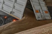 В ООН признали бессилие в выполнении условий России по зерновой сделке