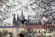 В Праге переименуют улицу советского маршала Конева