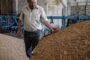 В США рассказали про новые маршруты поставок украинского зерна