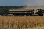 В Испании раскритиковали односторонний запрет на ввоз зерна с Украины