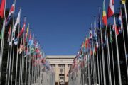 Опрос раскрыл степень доверия к ООН по всему миру