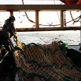 Япония не смогла согласовать с Россией ловлю рыбы у Кунашира